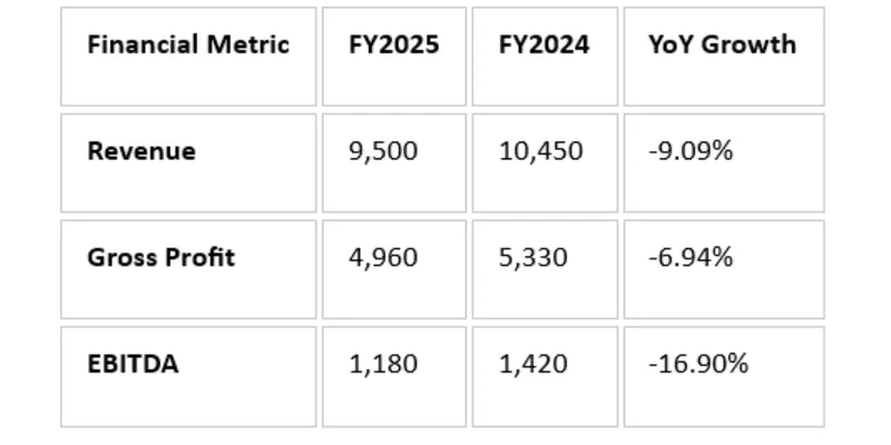 Financial Summary Table